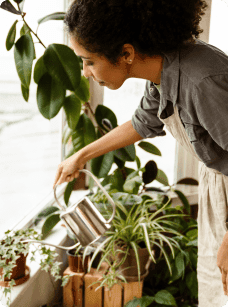 Lady watering plants Lady watering plants